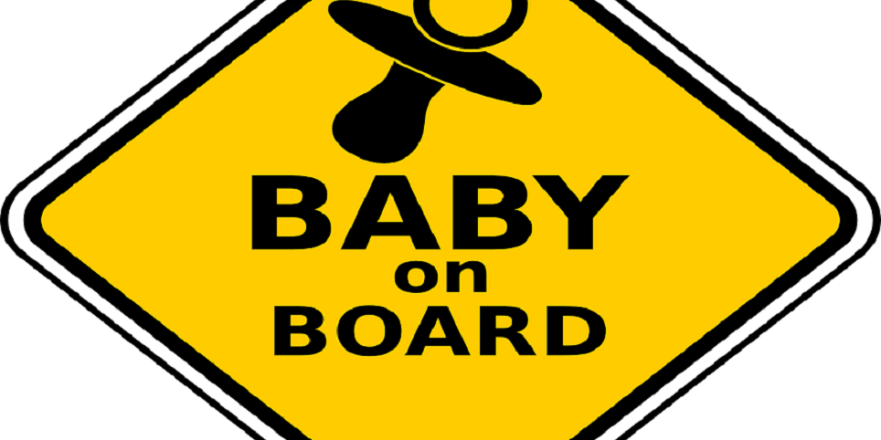 gestoría especializada en transporte